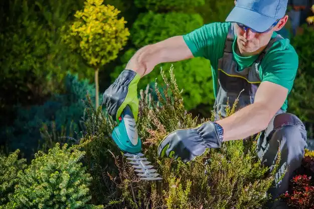 landscaping services Upper Nyack